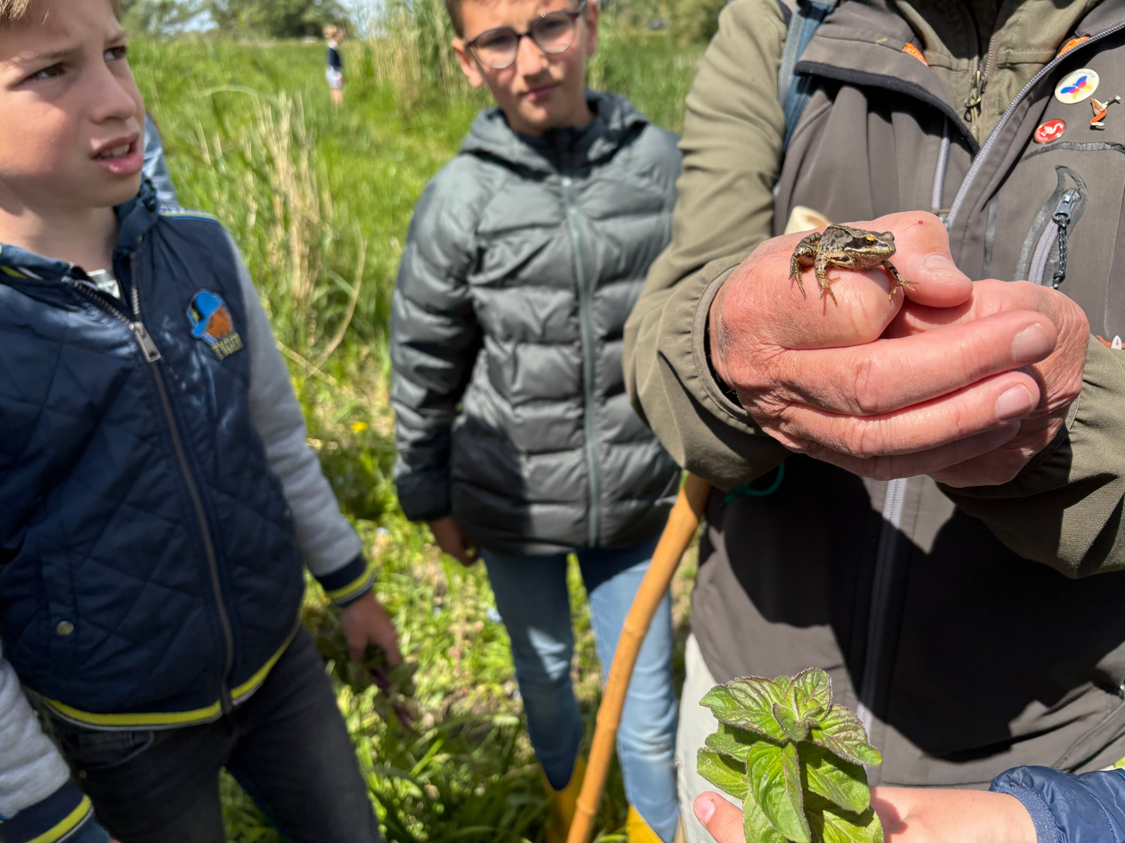 Geoweek Gendtse Waard kikker
